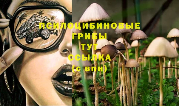 спайс Алексин