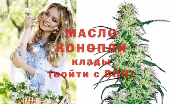 хмурый Аркадак