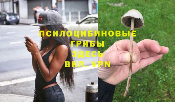 мет Алзамай