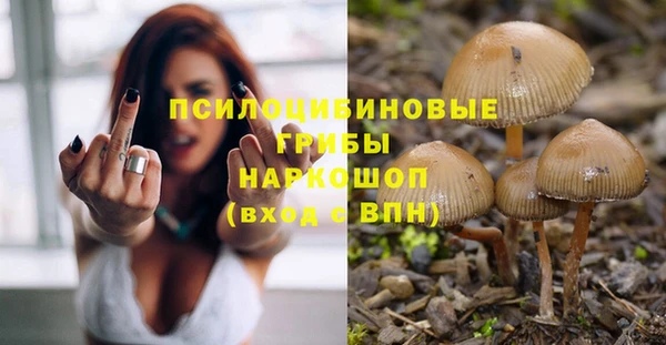 спайс Алексин
