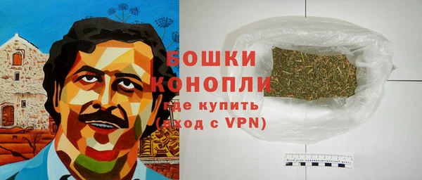 гидра Алексеевка