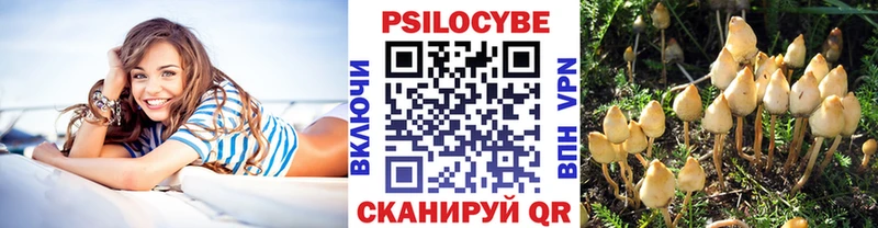 Псилоцибиновые грибы Psilocybine cubensis  Осинники 
