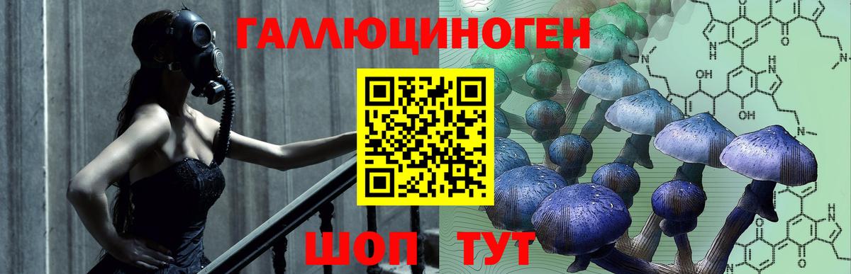 Галлюциногенные грибы ЛСД  Вход с VPN  Осинники 