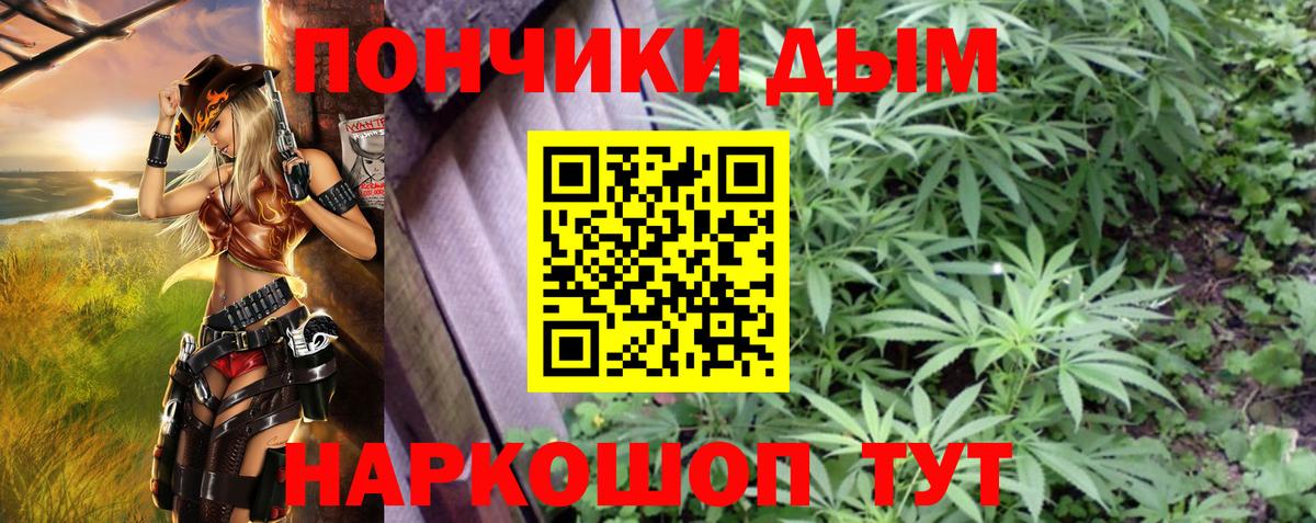 Бошки Шишки SATIVA & INDICA  Конопля LSD WEED  Вход с VPN  Каннабис Ganja  Осинники  Шишки марихуана план 